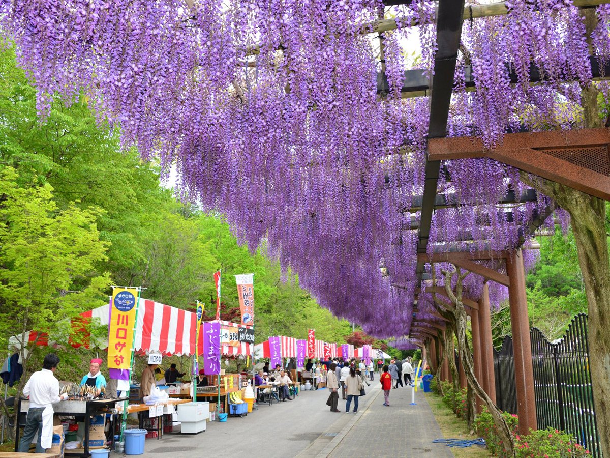 🌳 경신산 종합공원(고신야마 소고 코엔) 이미지 9